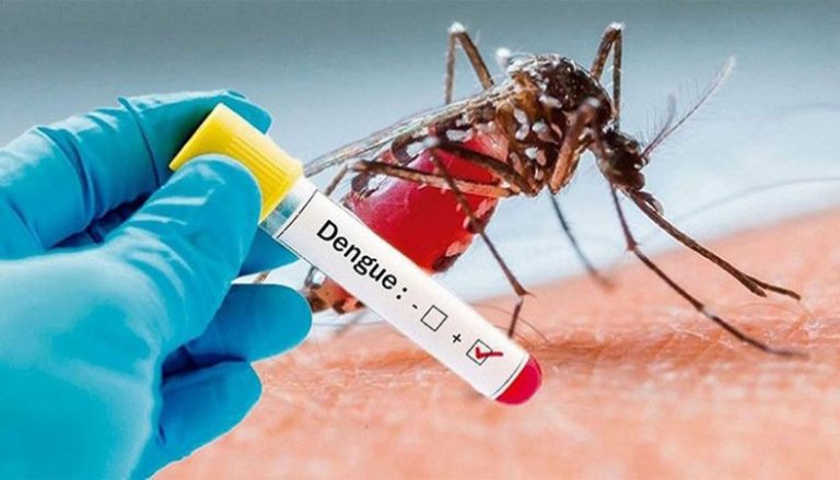 Dengue Test Price In Bangladesh