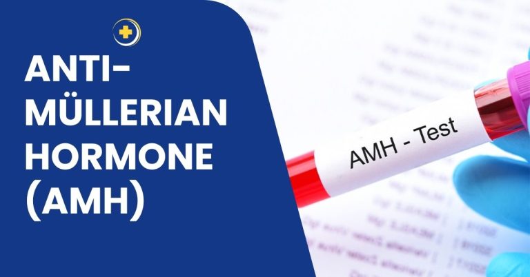 Amh Test Price In Bangladesh