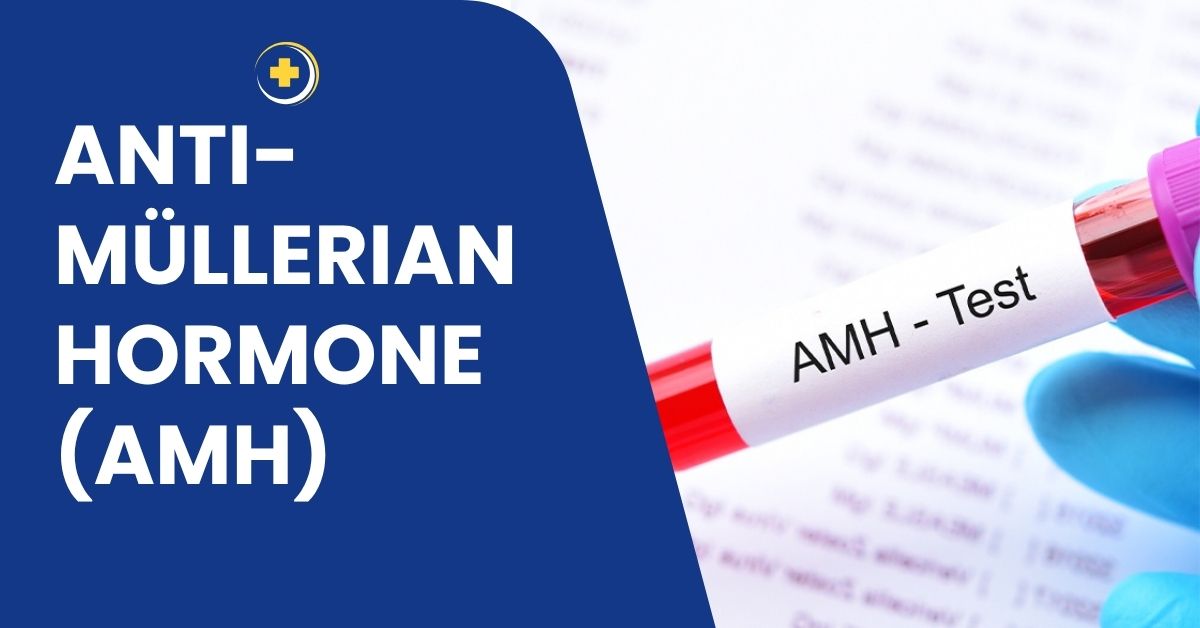 Amh Test Price In Bangladesh