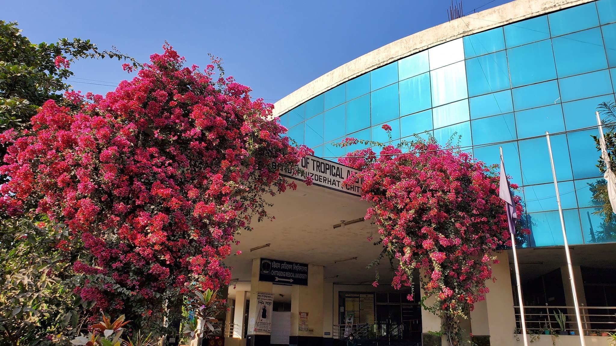 Bangladesh Institute of Tropical and Infectious Diseases (BITID) Test Price List