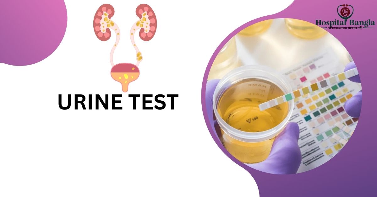 Urine Test Price in Bangladesh
